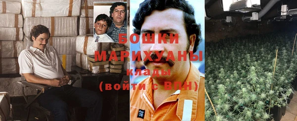 прущие грибы Кинешма