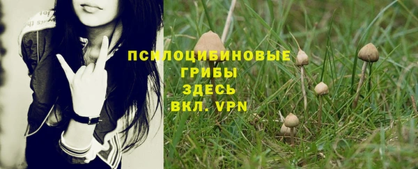 а пвп мука Киренск
