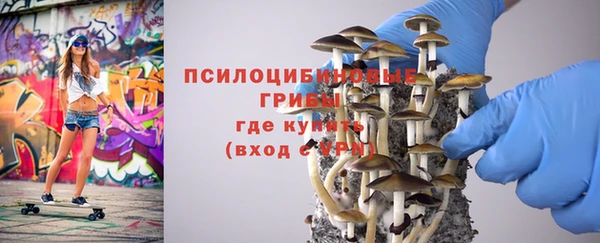 прущие грибы Кинешма