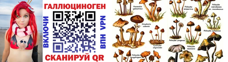 Купить закладки  Обоянь  Галлюциногенные грибы мицелий 